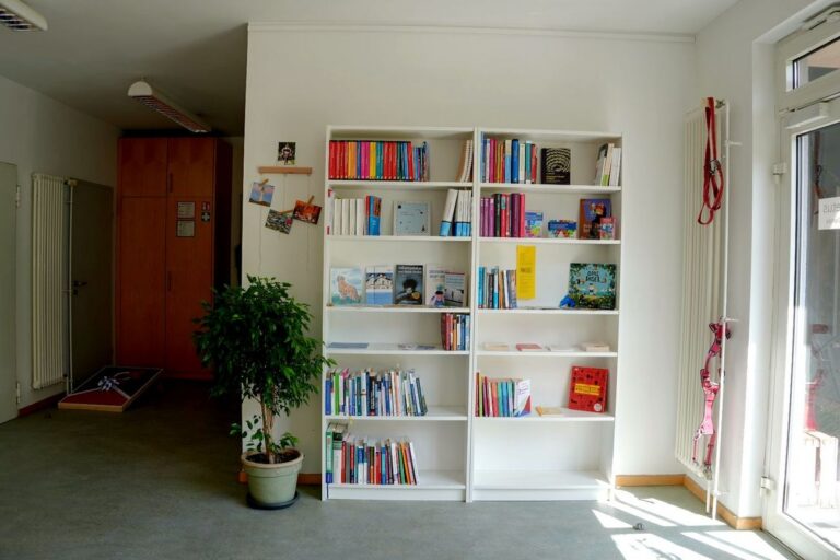 Weißes Bücherregal mit Fachliteratur neben einer Pflanze