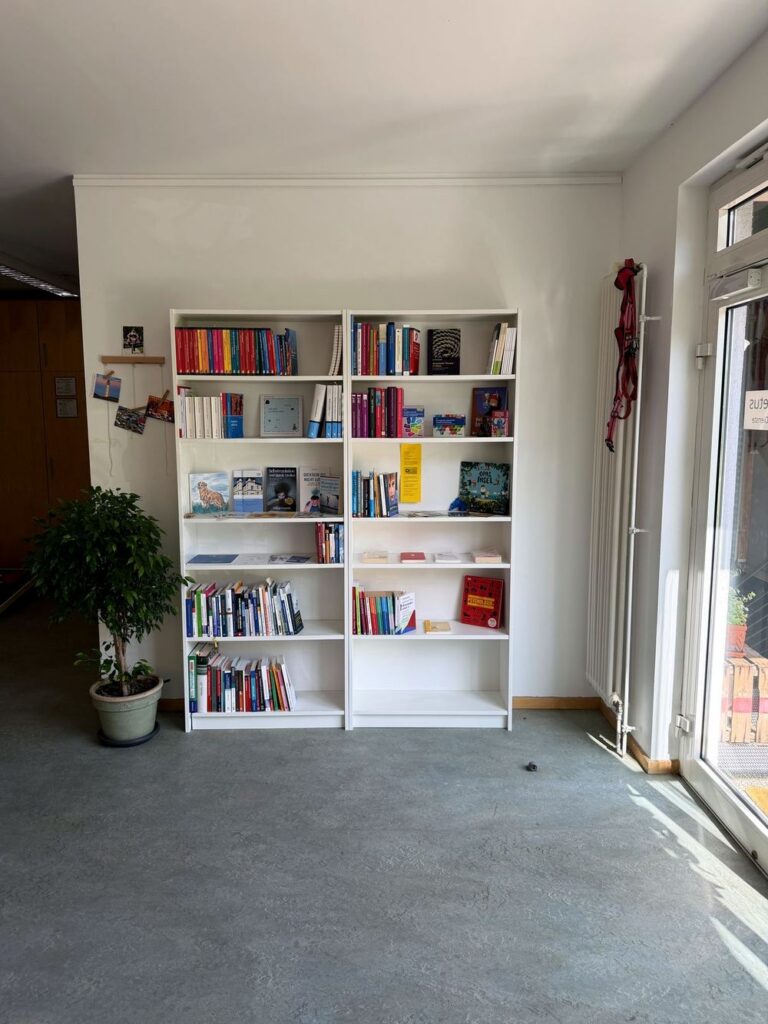 Regalwand mit Fachbüchern im Tageslicht